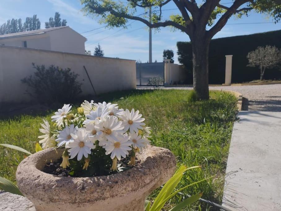 Holiday home Maisonnette En Campagne Au Calme Carpentras